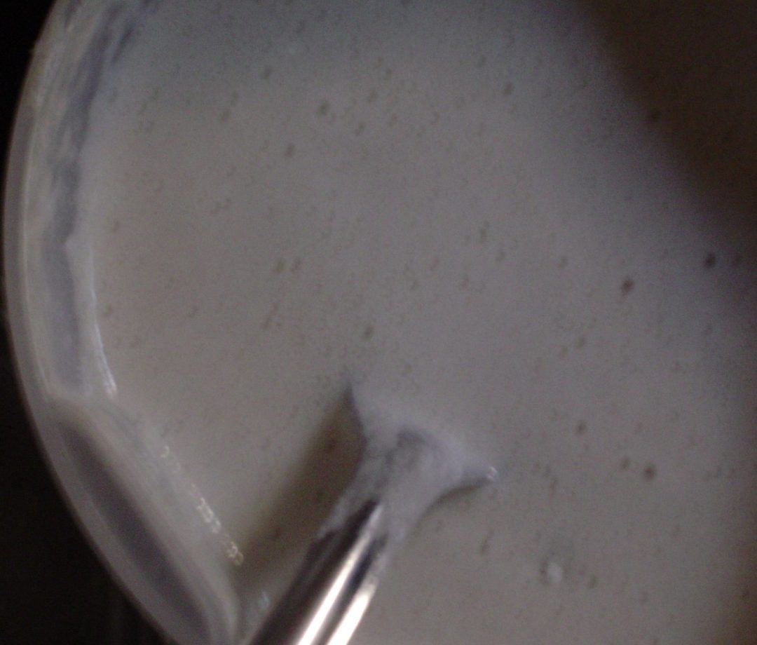 Can We Grind Dosa Batter In Food Processor? Grind IT