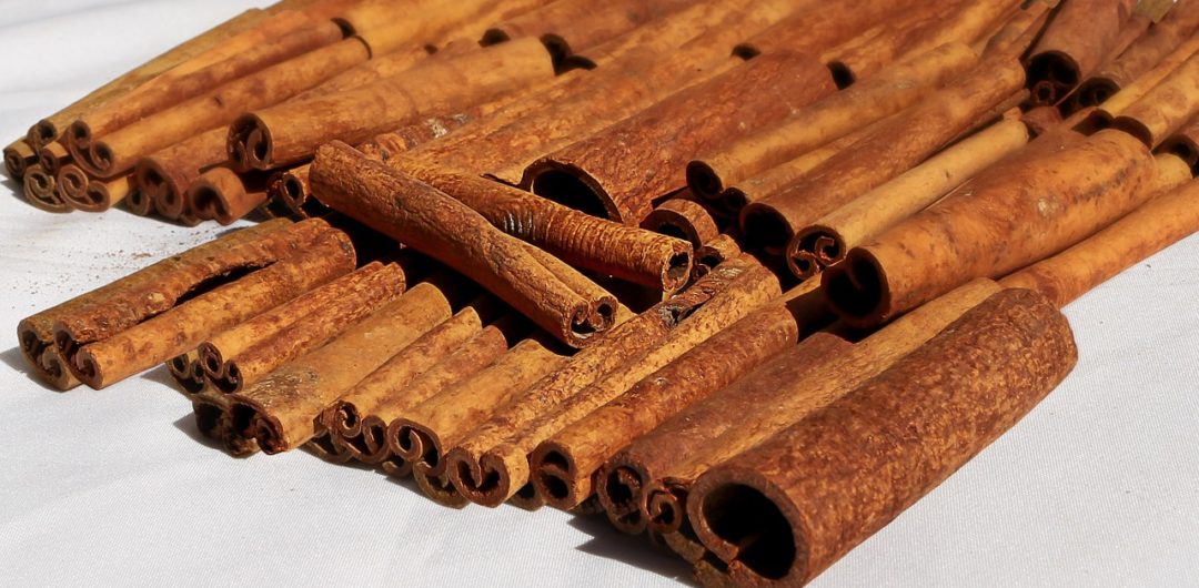 can you grind cinnamon sticks in a magic bullet Archives GrindIT