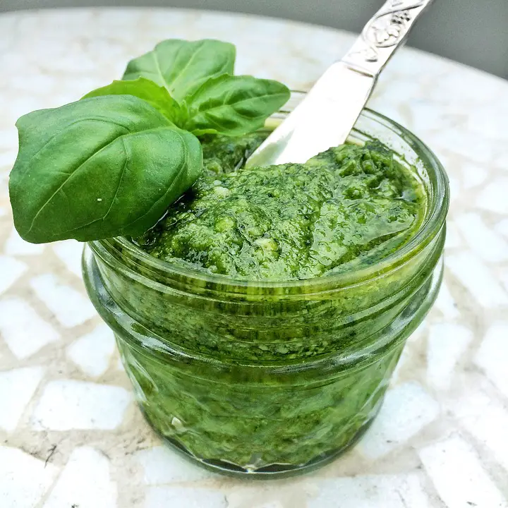 Can I Use A Blender Instead Of A Food Processor To Make Pesto