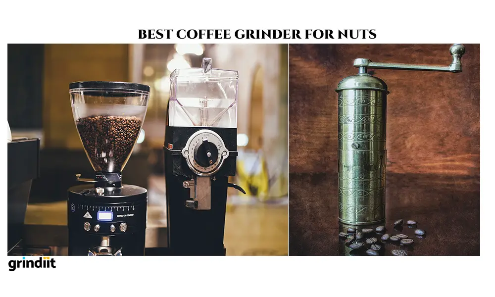 Best Coffee Grinder for Nuts