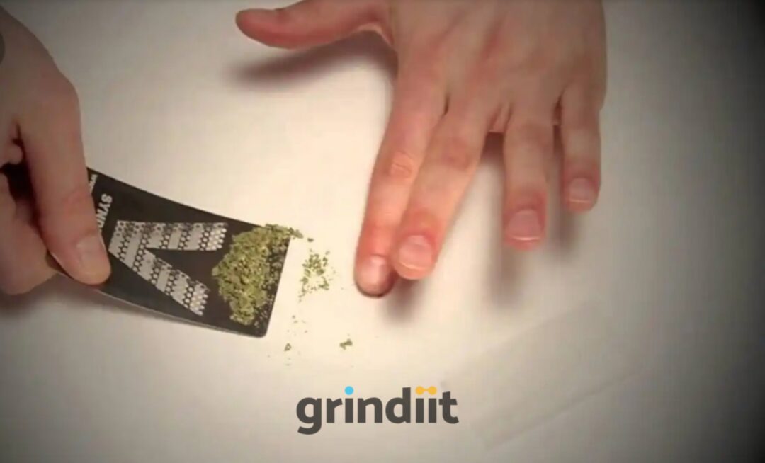 Best Herb Grinder 2021 How To Grind Weed With A Credit Card In 2021 | GrindIT