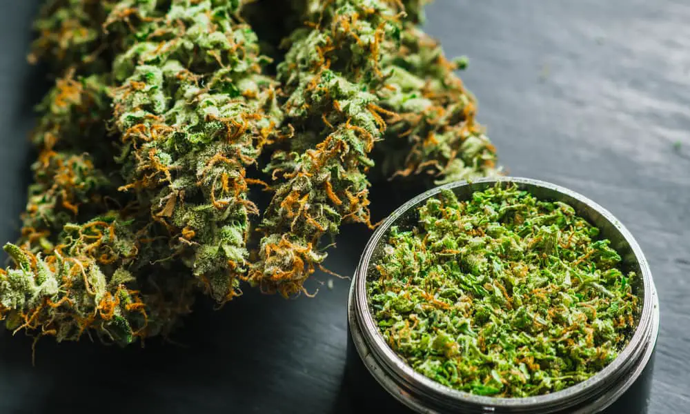does grinding weed make it less potent, credit card grinders, grinder or hands, what is a weed grinder used for, grinding weed into powder, grinded weed, can you grind weed with a mortar and pestle, do you grind the whole bud,