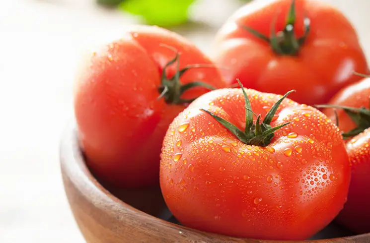 Can you use a meat grinder to grind tomatoes?