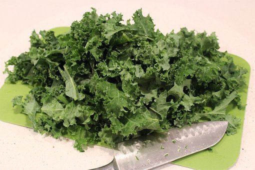 Can You Chop Kale in a Food Processor?