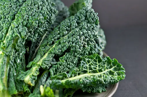 Can You Chop Kale in a Food Processor