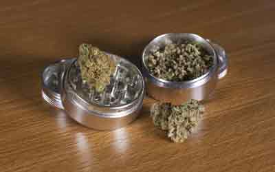 Does Weed Go Bad in a Grinder?