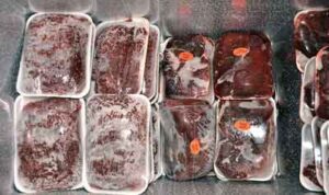 Can You Grind Frozen Deer Meat? | Grind IT